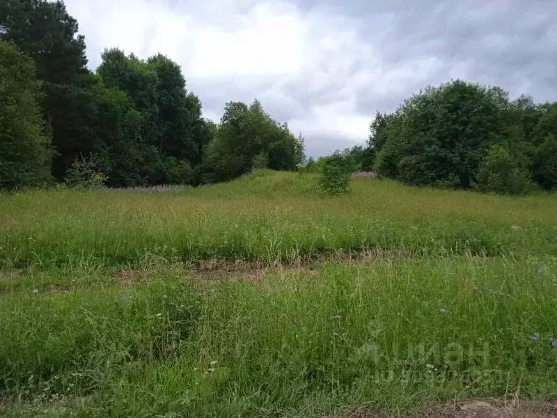 Участок в Владимирская область, Александровский район, Следневское ... - Фото 1