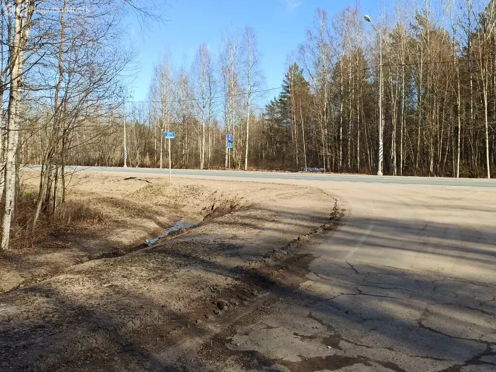 Участок в Псковский район, Торошинская волость, СНТ Ветеран (15 м) - Фото 1