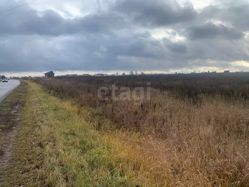 Участок в Костромская область, Костромской район, Шунгенское с/пос, д. ... - Фото 2