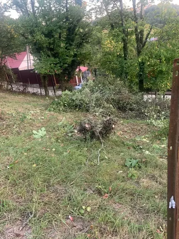 Участок в Краснодарский край, Сочи городской округ, с. Верхний Юрт ул. ... - Фото 2