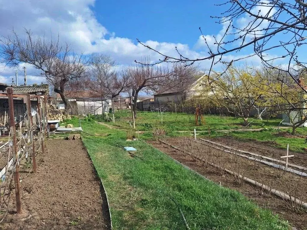 Участок в Крым, Симферопольский район, Чистенское с/пос, с. ... - Фото 1