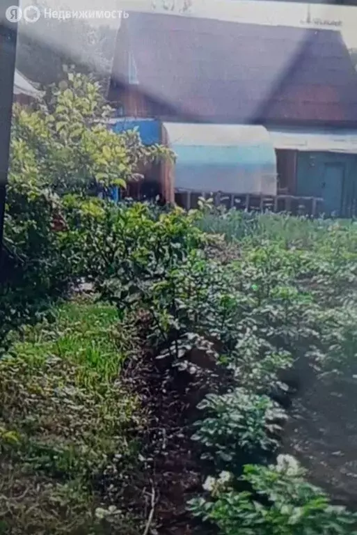 Участок в Зеленогорск, садоводство № 2, 98-я улица (6.6 м) - Фото 1