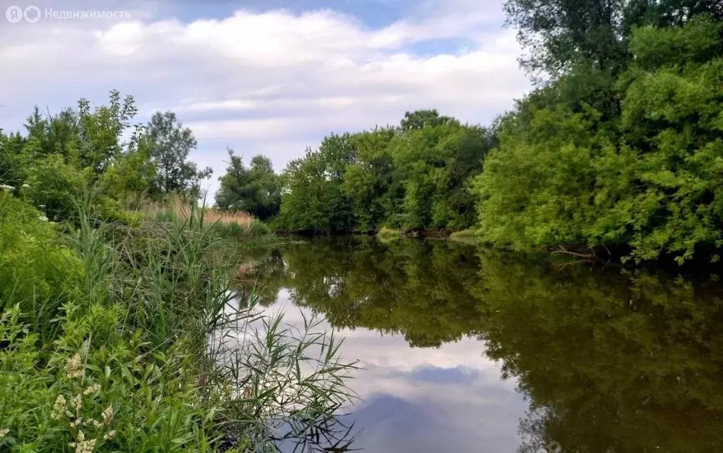 Участок в Орловский муниципальный округ, СНТ Нива, 20-я линия (5.2 м) - Фото 1