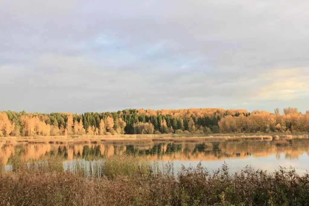 Участок в Московская область, Дмитровский городской округ, Икша рп ул. ... - Фото 0