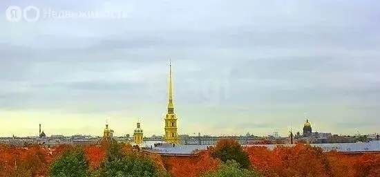 3-комнатная квартира: Санкт-Петербург, Кронверкский проспект, 31 (77.8 ... - Фото 2