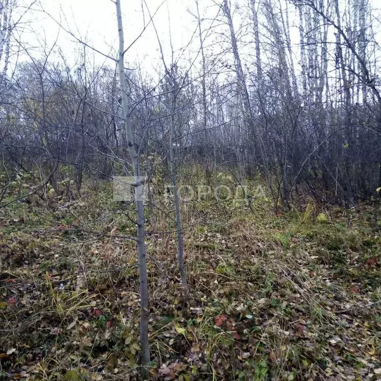 Участок в Новосибирск, НСТ Ветеран, 5-я Бугринская улица (6.73 м) - Фото 2