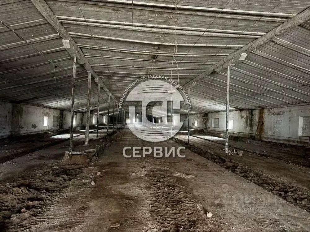 Склад в Московская область, Истра муниципальный округ, пос. ... - Фото 1