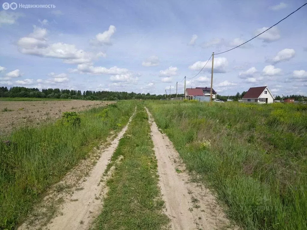 Участок в Рабитицкое сельское поселение, деревня Лиможа (20 м) - Фото 2