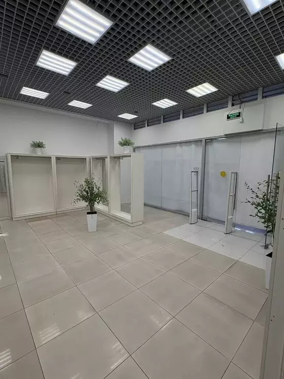 Торговая площадь в Санкт-Петербург ул. Ефимова, 3С (80 м) - Фото 2