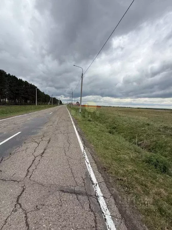 Участок в Иркутская область, Иркутский муниципальный округ, д. Турская ... - Фото 2