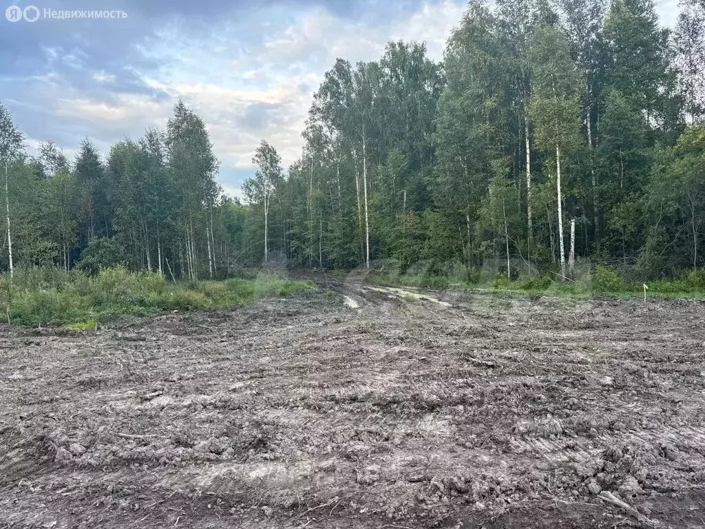 Участок в Тобольск, Красная площадь (8.6 м) - Фото 1