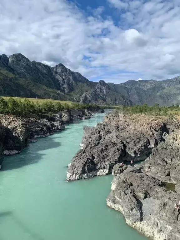 Участок в Алтай, Шебалинский район, с. Каспа  (2300.0 сот.) - Фото 1