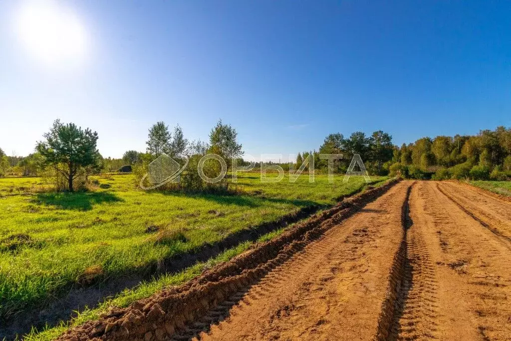 Участок в Тюменская область, Нижнетавдинский район, Полиграфист ... - Фото 1