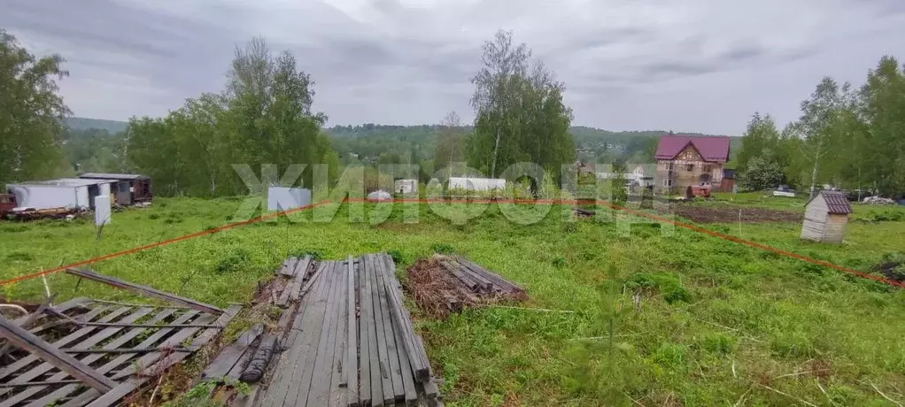 Участок в Новосибирская область, Новосибирский район, Барышевский ... - Фото 2