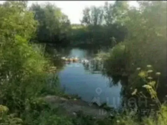 Участок в Саратовская область, с. Рыбушка  (790.0 сот.) - Фото 1