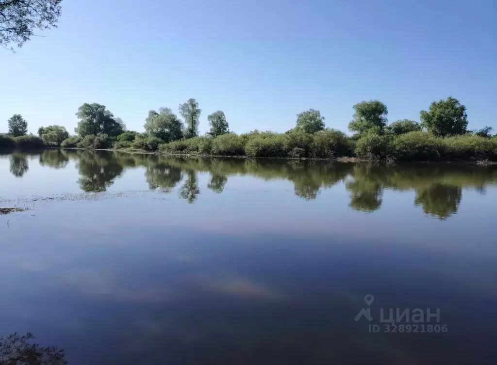 Участок в Пензенская область, Шемышейский район, с. Синодское  (2120.0 ... - Фото 1