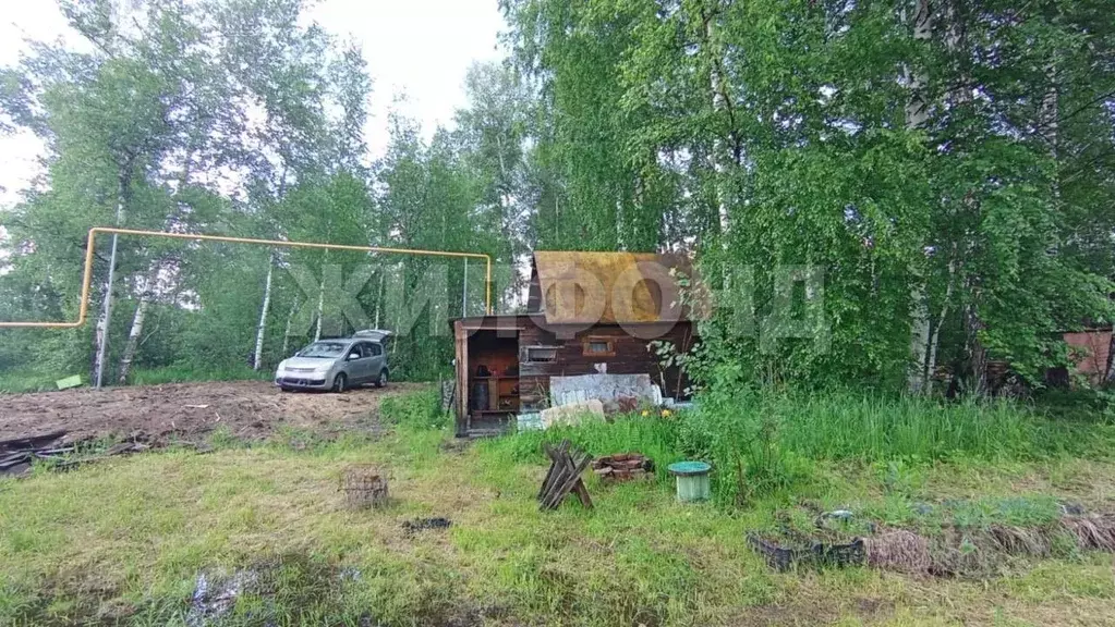 Участок в Новосибирская область, Новосибирск Поляна СНТ,  (11.81 сот.) - Фото 2