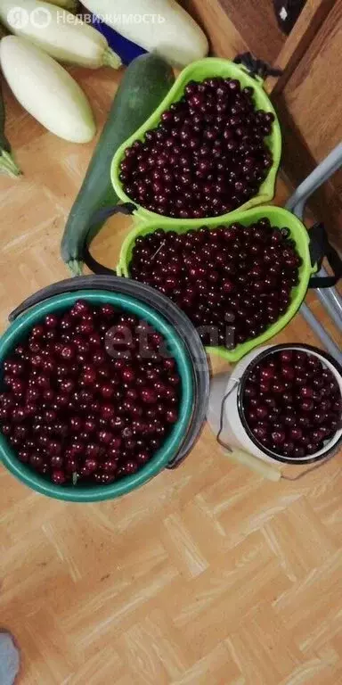 Дом в Омск, садоводческое некоммерческое товарищество Каучук, 13-я ... - Фото 1