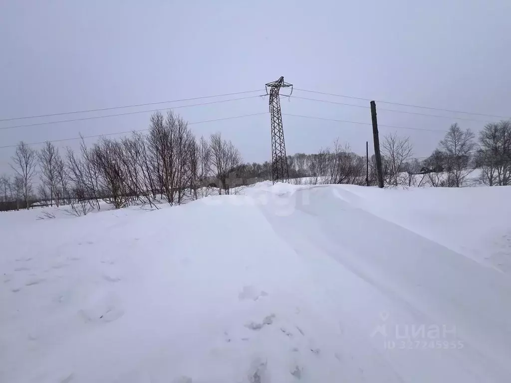 Участок в Камчатский край, Елизовский муниципальный округ, пос. ... - Фото 1