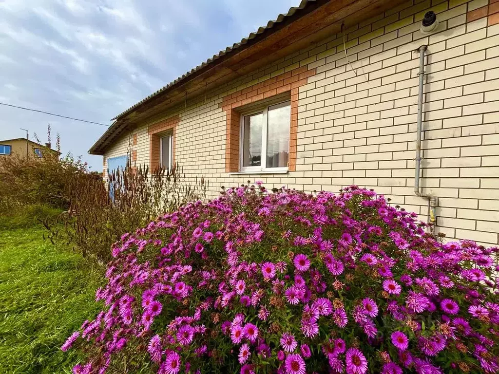 Дом в Тамбовская область, Тамбовский муниципальный округ, с. Сурава ... - Фото 1