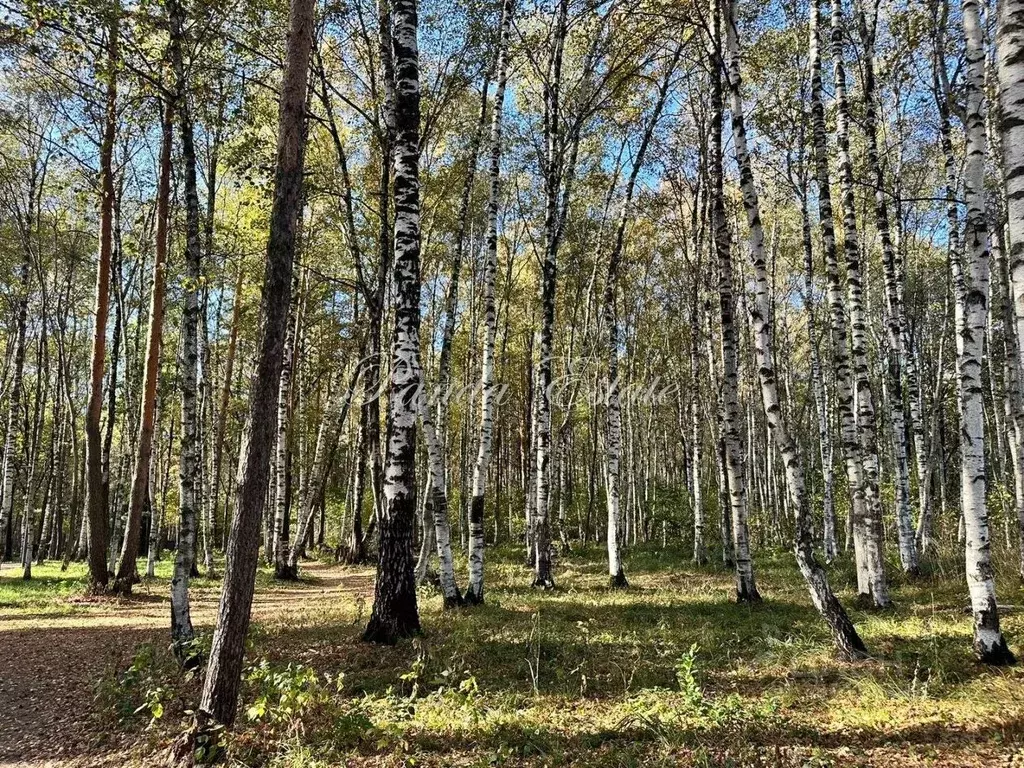 Участок в Московская область, Одинцовский городской округ, с. ... - Фото 0