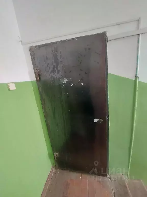 Помещение свободного назначения в Оренбургская область, Оренбург ул. ... - Фото 1