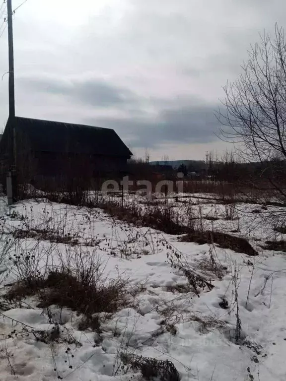 Участок в Свердловская область, Горноуральский городской округ, с. Лая ... - Фото 0