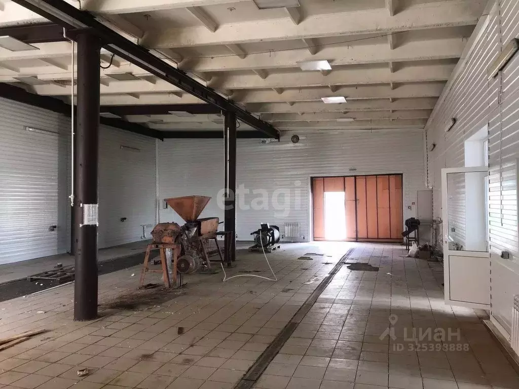 Склад в Воронежская область, Семилуки Курская ул., 101/13А (450 м) - Фото 1