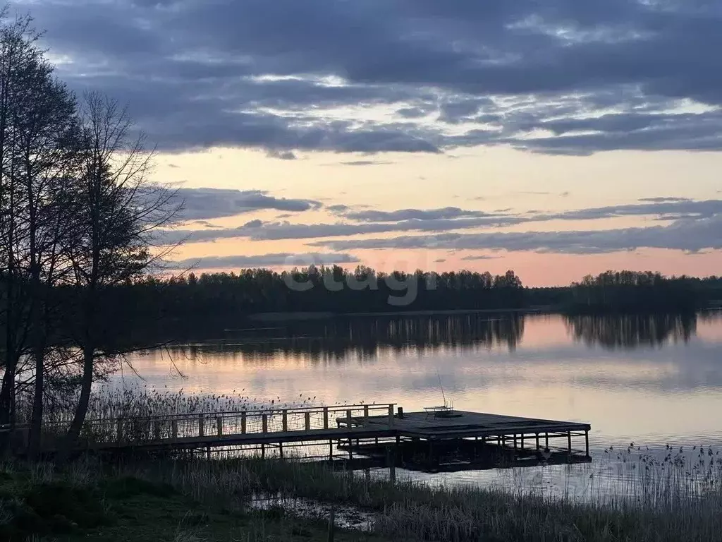 Дом в Псковская область, Себежское с/пос, д. Зуево  (80 м) - Фото 1