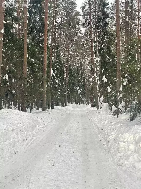 Участок в Ярославский муниципальный округ, село Введенье (25 м) - Фото 2