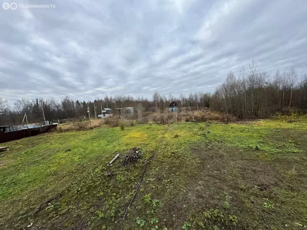 Участок в Кострома, Буйская улица (6 м) - Фото 1