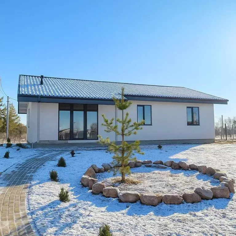 Дом в Нижегородская область, с. Безводное ул. Вячеслава Борисова (104 ... - Фото 1