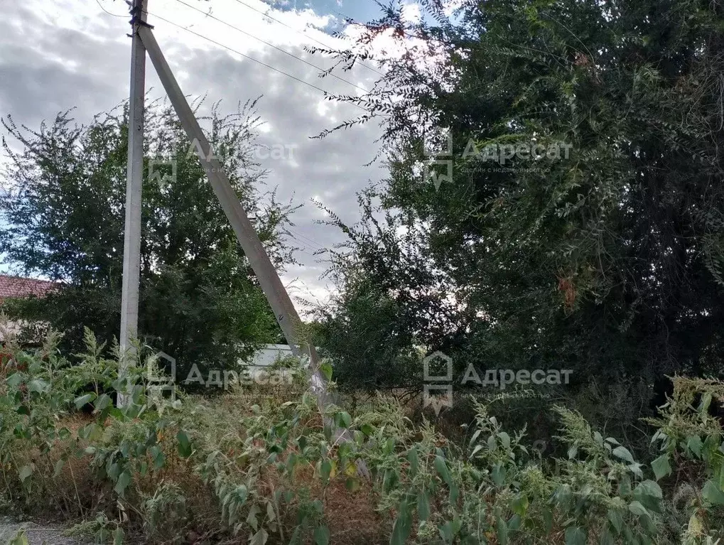 Участок в Волгоградская область, Волгоград пос. Участок ВПЭЛС, ул. ... - Фото 0