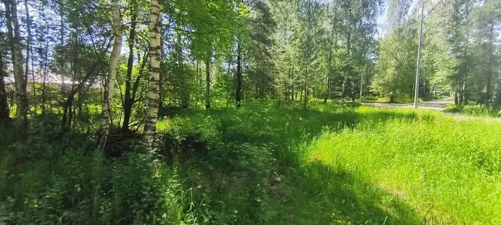 Участок в Московская область, Шатура муниципальный округ, пос. ... - Фото 1