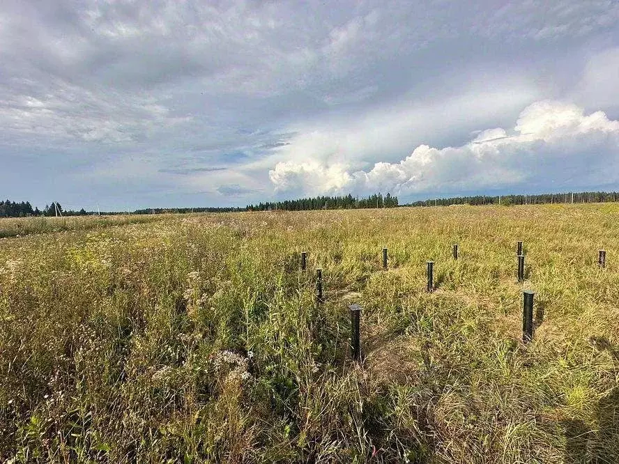 Участок в Московская область, Можайский муниципальный округ, д. ... - Фото 1