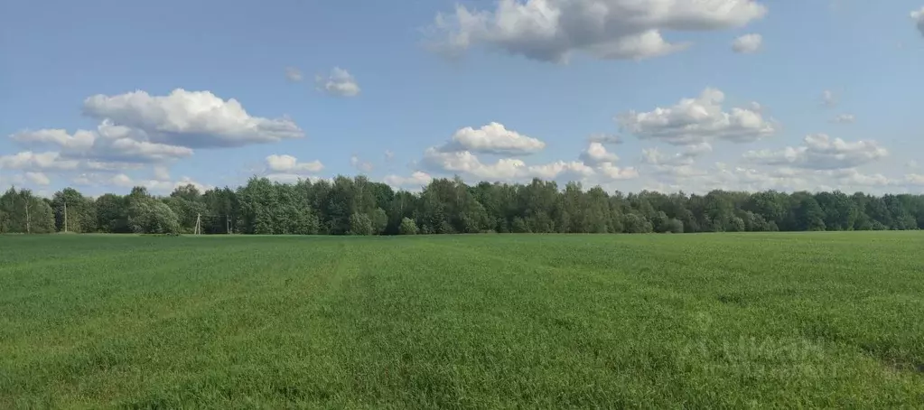 Участок в Московская область, Пушкинский городской округ, Чекмово-1 ... - Фото 0