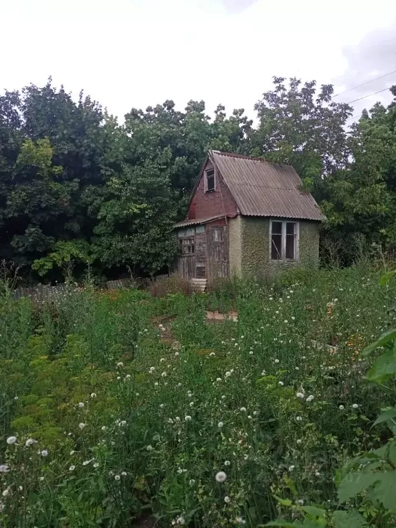 Дом в Белгородская область, Белгородский район, Беломестненское с/пос, ... - Фото 0