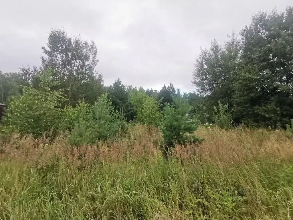 Участок в Московская область, Коломна городской округ, с. Васильево  ... - Фото 1