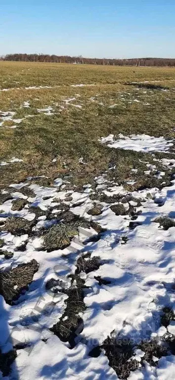 Участок в Белгородская область, Белгород ул. Есенина (156.0 сот.) - Фото 1