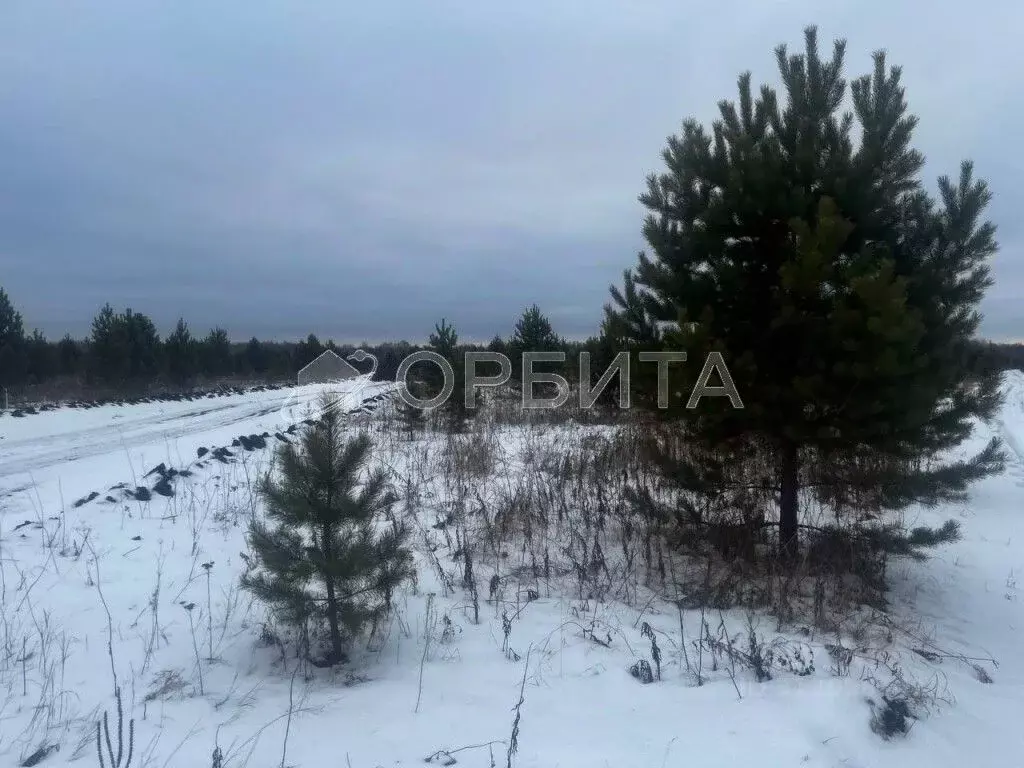 Участок в Тюменская область, Тюменский район, с. Горьковка Сибирская ... - Фото 1