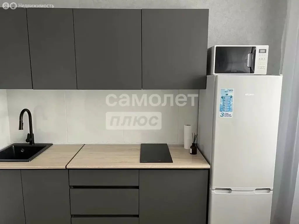 1-комнатная квартира: Ногинск, Самодеятельная улица, 10 (38.5 м) - Фото 1