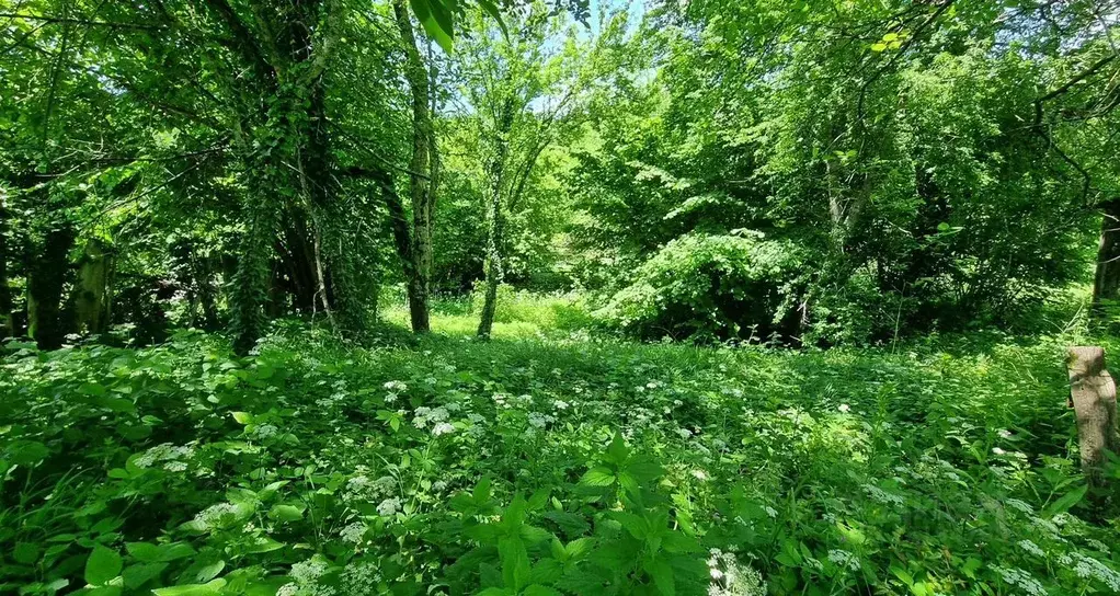 Участок в Краснодарский край, Туапсинский муниципальный округ, с. ... - Фото 1