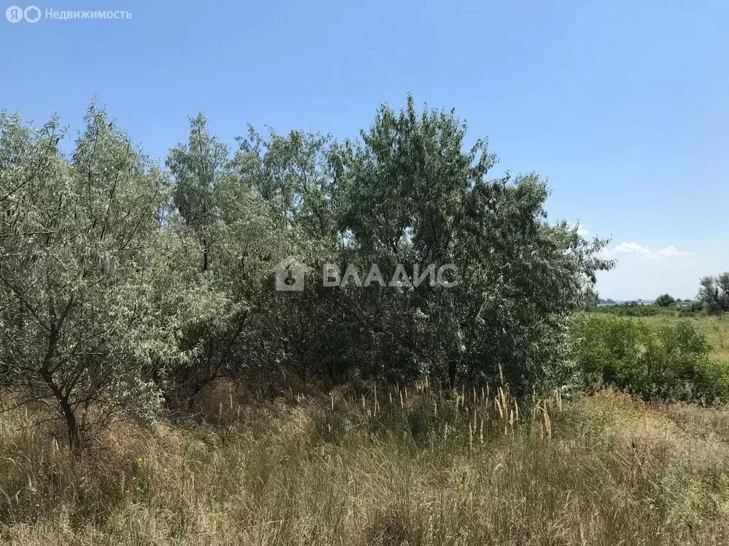 Участок в Азовский район, хутор Рогожкино (30 м) - Фото 1