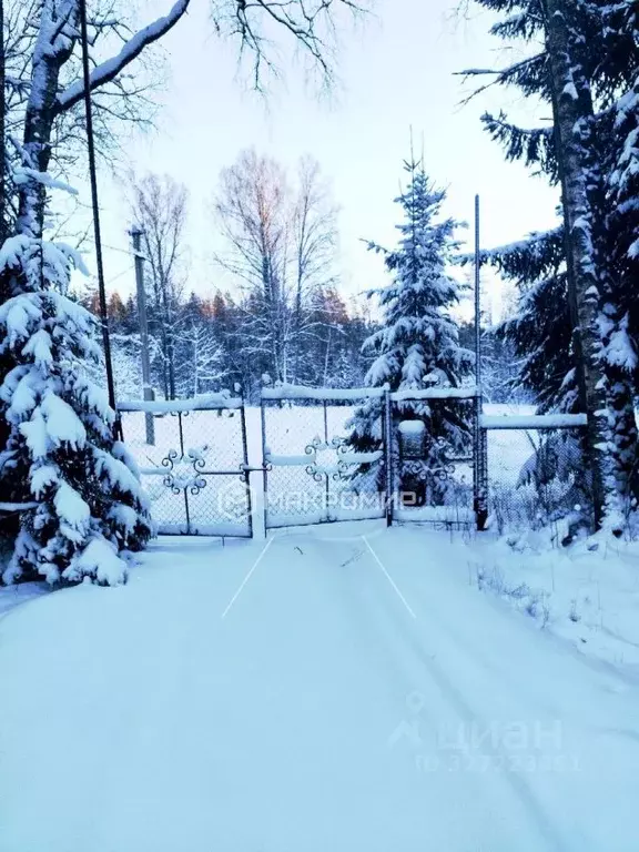 Участок в Санкт-Петербург, Санкт-Петербург, Зеленогорск просп. Ленина, ... - Фото 1