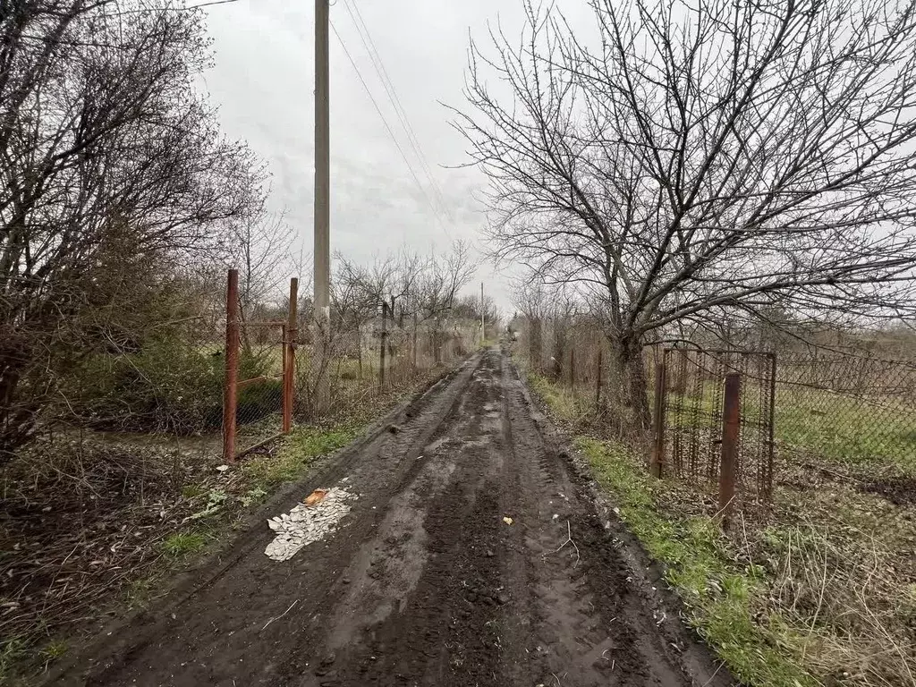 Участок в Воронежская область, Новоусманский район, Хреновское с/пос, ... - Фото 1