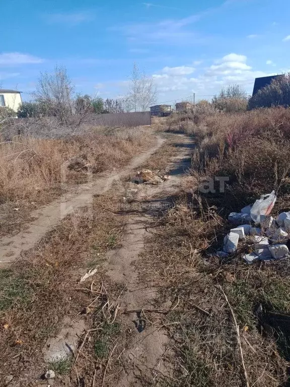 Участок в Волгоградская область, Светлоярский район, ... - Фото 1