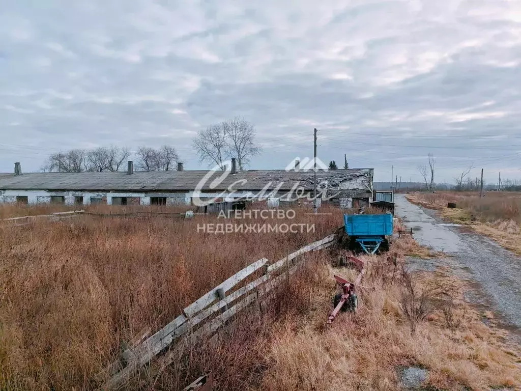 Производственное помещение в Тюменская область, Заводоуковский ... - Фото 1