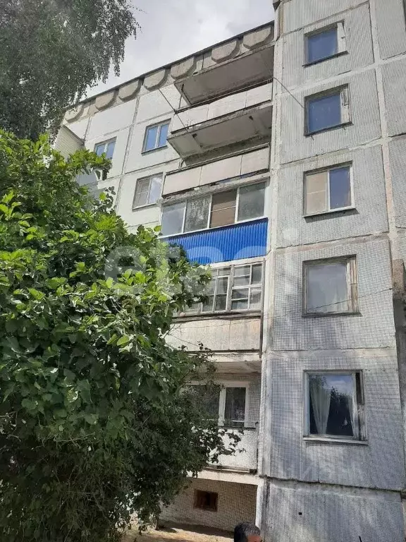 3-к кв. Тульская область, Ефремовский муниципальный округ, пос. ... - Фото 0