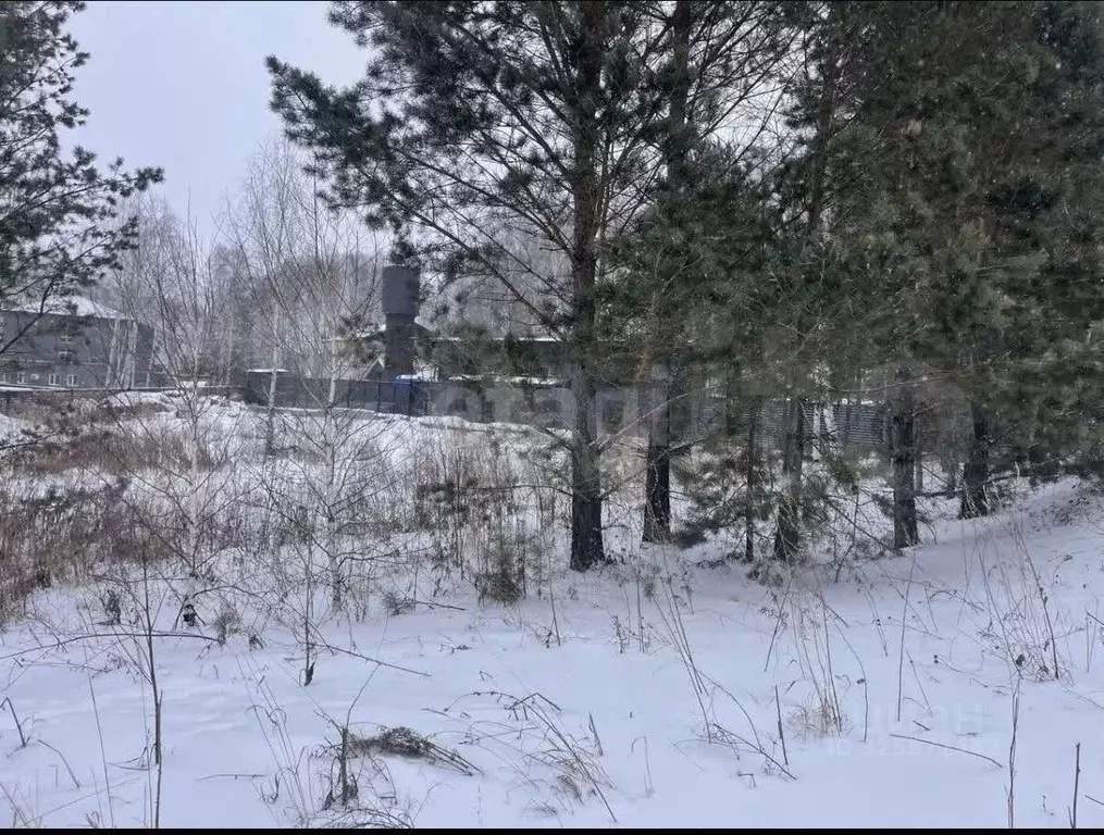 Участок в Красноярский край, Сосновоборский муниципальный округ, д. ... - Фото 1