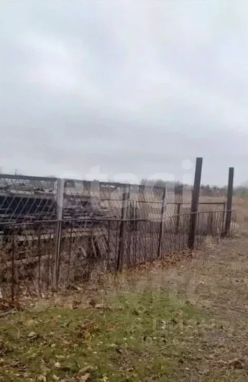 Участок в Волгоградская область, Среднеахтубинский район, Кировское ... - Фото 2